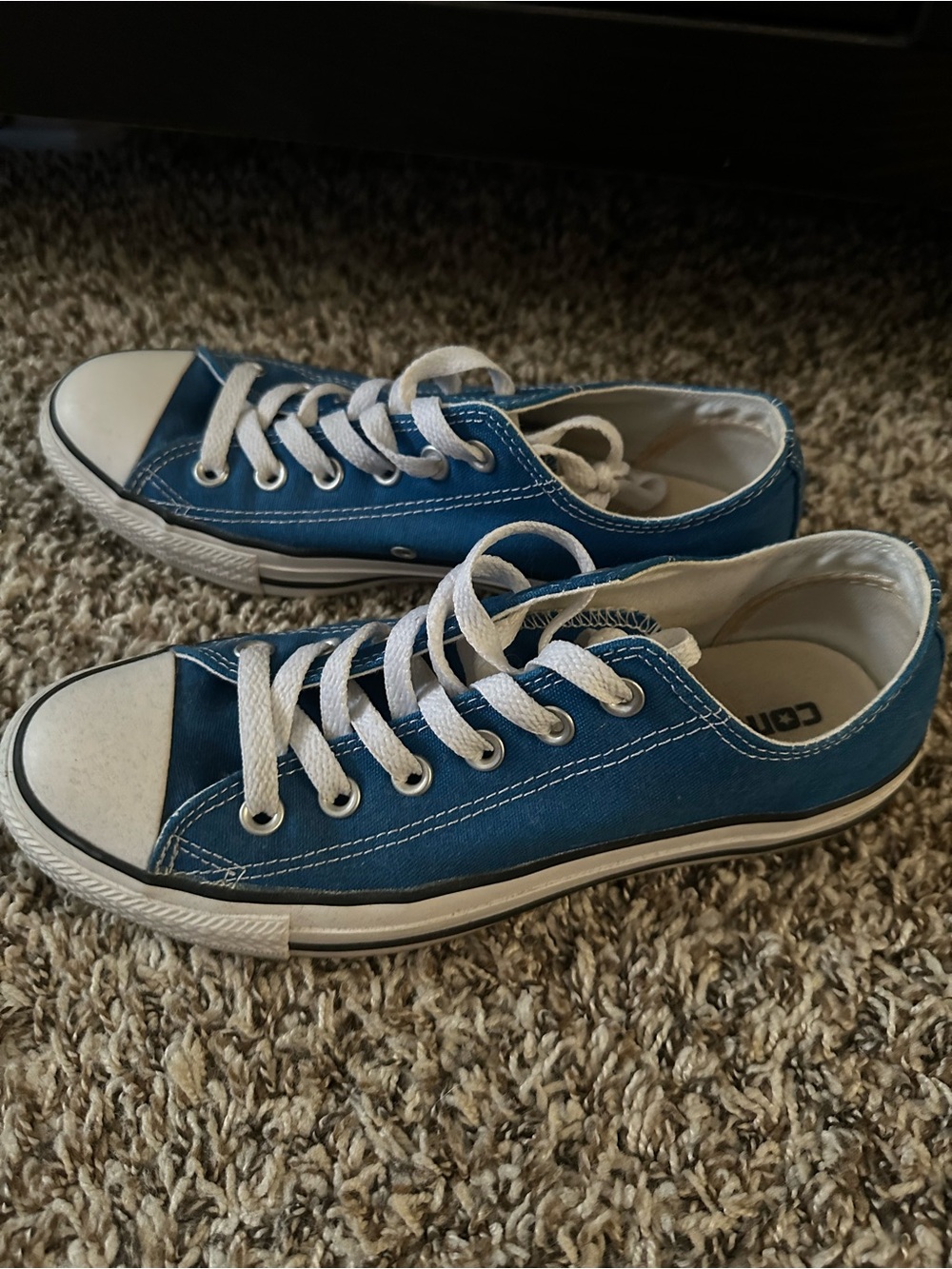 Converse Low-Top Canvas Sneakers in Blue with White Accents